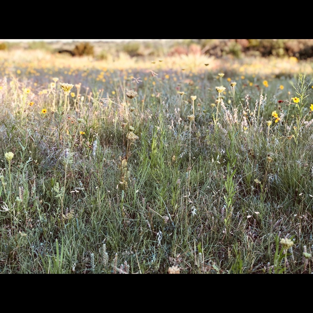 Meet your Posher, Hayley